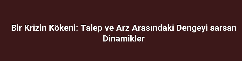 Bir Krizin Kökeni: Talep ve Arz Arasındaki Dengeyi sarsan Dinamikler