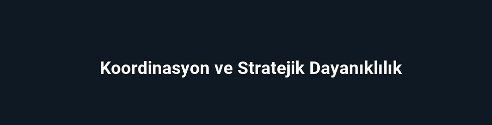 Koordinasyon ve Stratejik Dayanıklılık