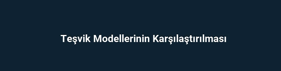 Teşvik Modellerinin Karşılaştırılması