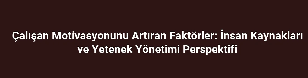 Çalışan Motivasyonunu Artıran Faktörler: İnsan Kaynakları ve Yetenek Yönetimi Perspektifi