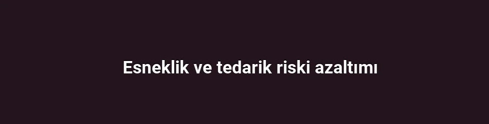 Esneklik ve tedarik riski azaltımı