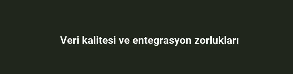 Veri kalitesi ve entegrasyon zorlukları