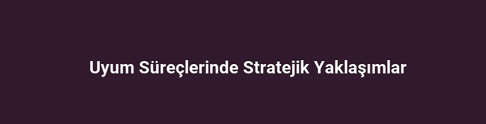 Uyum Süreçlerinde Stratejik Yaklaşımlar