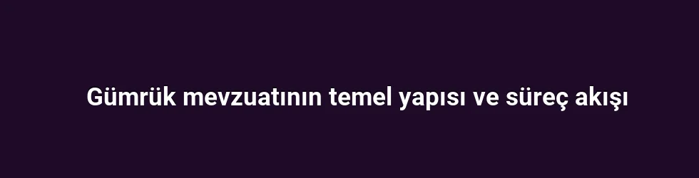 Gümrük mevzuatının temel yapısı ve süreç akışı