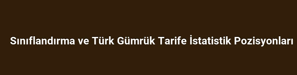 Sınıflandırma ve Türk Gümrük Tarife İstatistik Pozisyonları