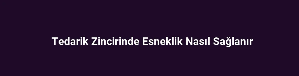 Tedarik Zincirinde Esneklik Nasıl Sağlanır