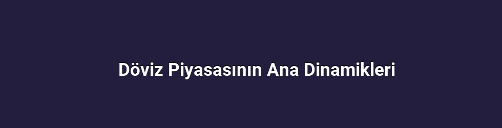 Döviz Piyasasının Ana Dinamikleri