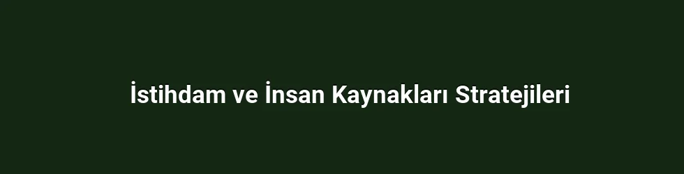 İstihdam ve İnsan Kaynakları Stratejileri