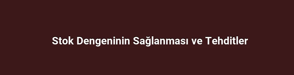 Stok Dengeninin Sağlanması ve Tehditler