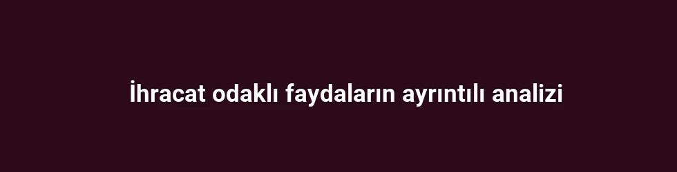 İhracat odaklı faydaların ayrıntılı analizi