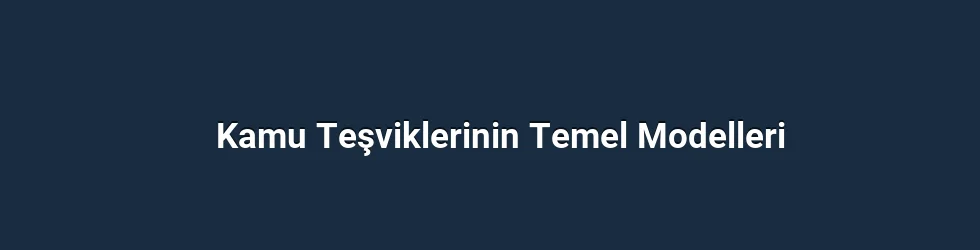 Kamu Teşviklerinin Temel Modelleri