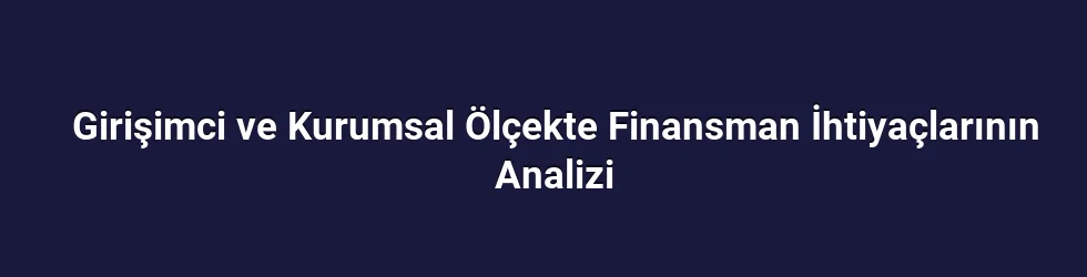 Girişimci ve Kurumsal Ölçekte Finansman İhtiyaçlarının Analizi