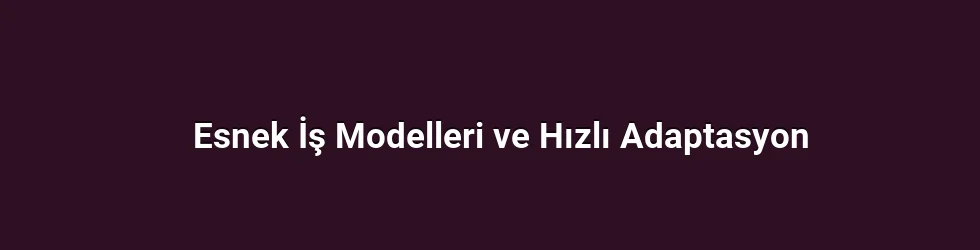 Esnek İş Modelleri ve Hızlı Adaptasyon