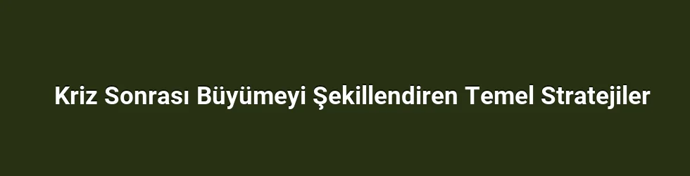 Kriz Sonrası Büyümeyi Şekillendiren Temel Stratejiler