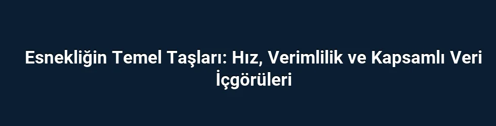 Esnekliğin Temel Taşları: Hız, Verimlilik ve Kapsamlı Veri İçgörüleri