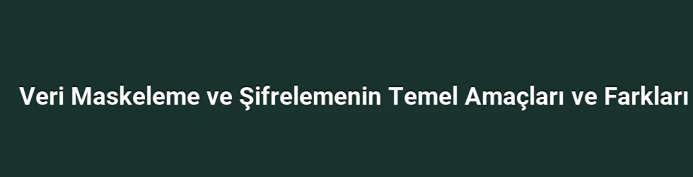 Veri Maskeleme ve Şifrelemenin Temel Amaçları ve Farkları
