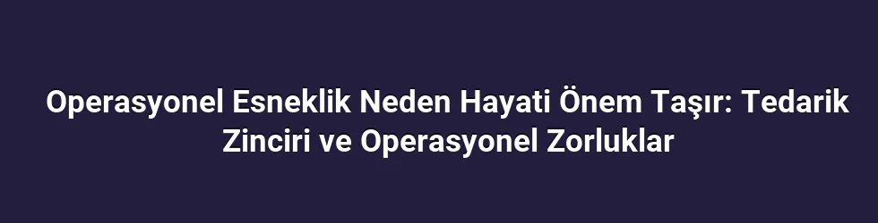 Operasyonel Esneklik Neden Hayati Önem Taşır: Tedarik Zinciri ve Operasyonel Zorluklar