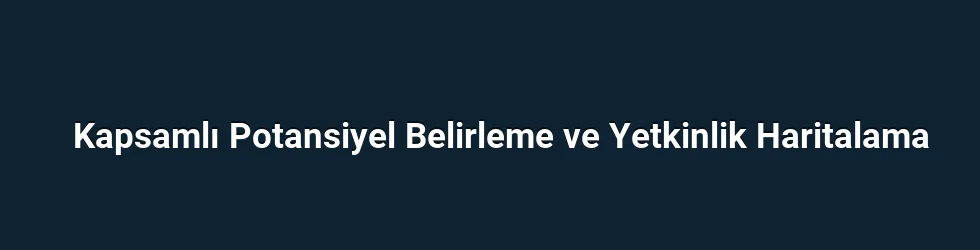 Kapsamlı Potansiyel Belirleme ve Yetkinlik Haritalama