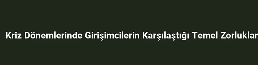 Kriz Dönemlerinde Girişimcilerin Karşılaştığı Temel Zorluklar
