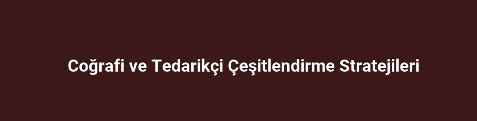 Coğrafi ve Tedarikçi Çeşitlendirme Stratejileri