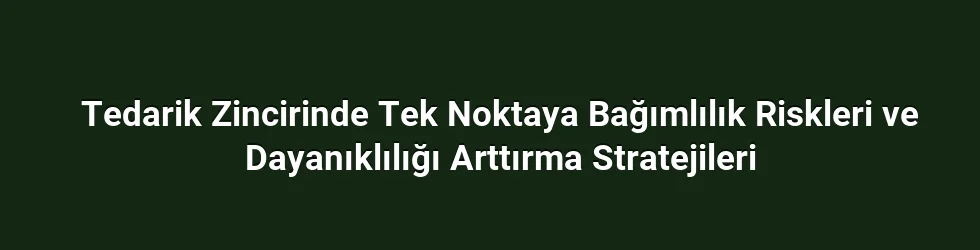 Tedarik Zincirinde Tek Noktaya Bağımlılık Riskleri ve Dayanıklılığı Arttırma Stratejileri