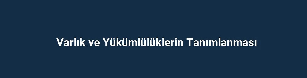 Varlık ve Yükümlülüklerin Tanımlanması