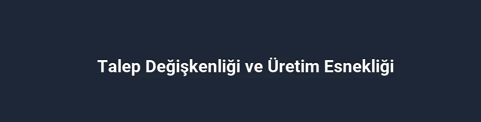 Talep Değişkenliği ve Üretim Esnekliği