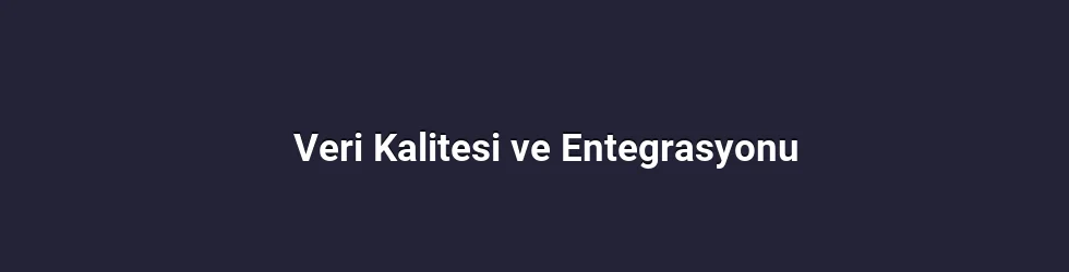 Veri Kalitesi ve Entegrasyonu