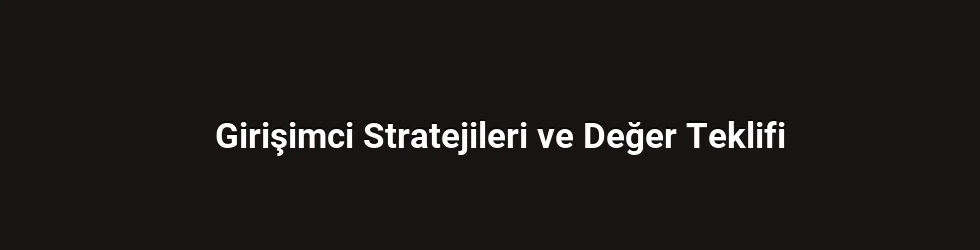 Girişimci Stratejileri ve Değer Teklifi