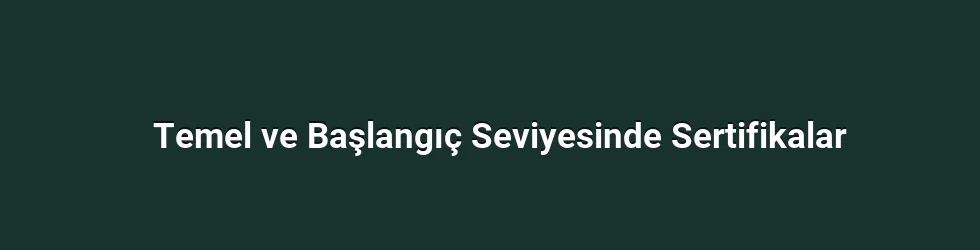 Temel ve Başlangıç Seviyesinde Sertifikalar
