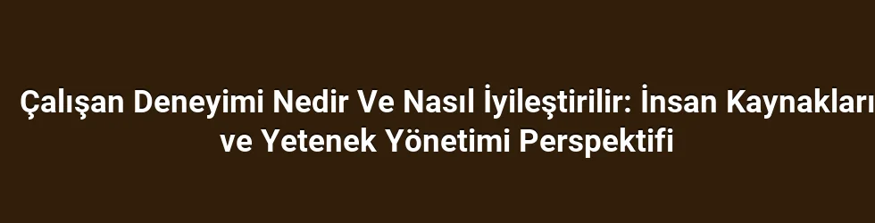 Çalışan Deneyimi Nedir Ve Nasıl İyileştirilir: İnsan Kaynakları ve Yetenek Yönetimi Perspektifi