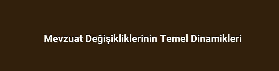 Mevzuat Değişikliklerinin Temel Dinamikleri