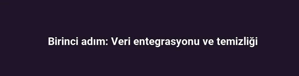 Birinci adım: Veri entegrasyonu ve temizliği