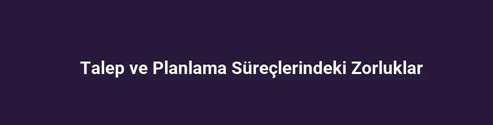 Talep ve Planlama Süreçlerindeki Zorluklar