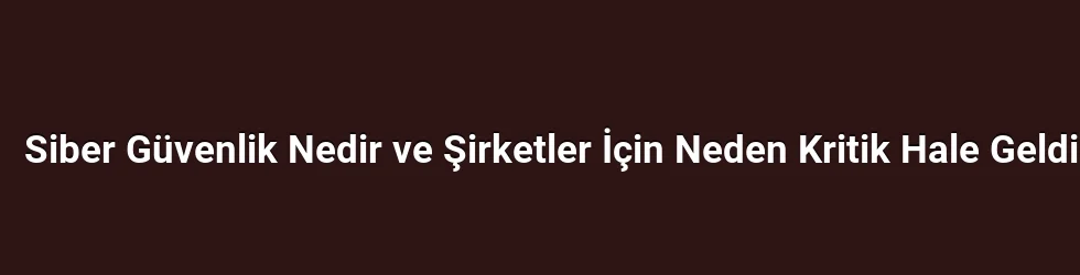 Siber Güvenlik Nedir ve Şirketler İçin Neden Kritik Hale Geldi