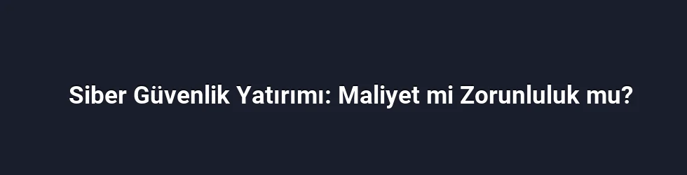 Siber Güvenlik Yatırımı: Maliyet mi Zorunluluk mu?
