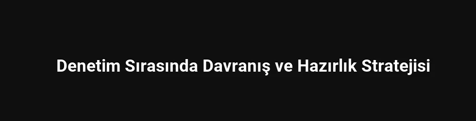 Denetim Sırasında Davranış ve Hazırlık Stratejisi