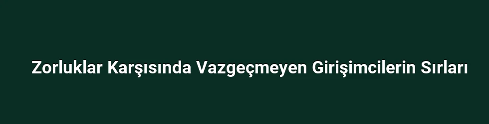 Zorluklar Karşısında Vazgeçmeyen Girişimcilerin Sırları