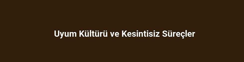 Uyum Kültürü ve Kesintisiz Süreçler