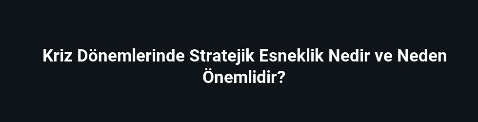 Kriz Dönemlerinde Stratejik Esneklik Nedir ve Neden Önemlidir?