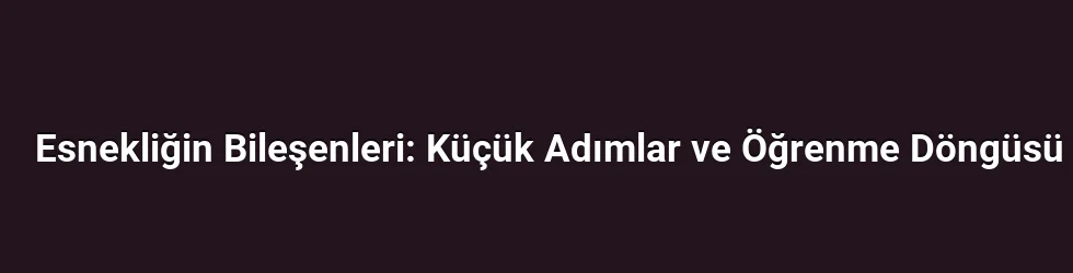 Esnekliğin Bileşenleri: Küçük Adımlar ve Öğrenme Döngüsü