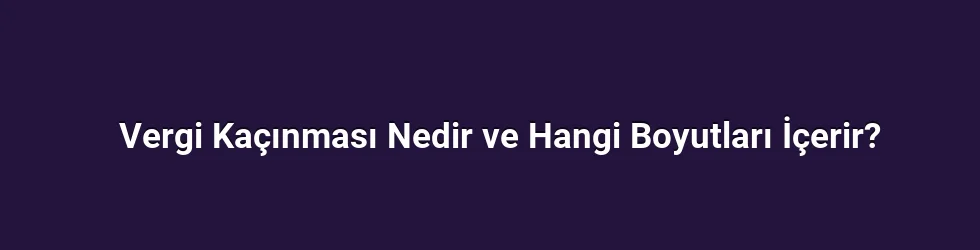 Vergi Kaçınması Nedir ve Hangi Boyutları İçerir?